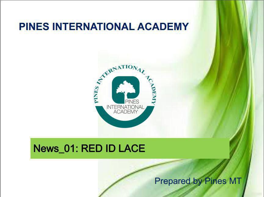Pines Academy - Newsletter 1