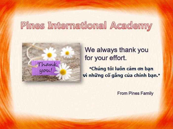 Hỗ trợ đặc biệt từ PINES dành cho học viên Việt Nam