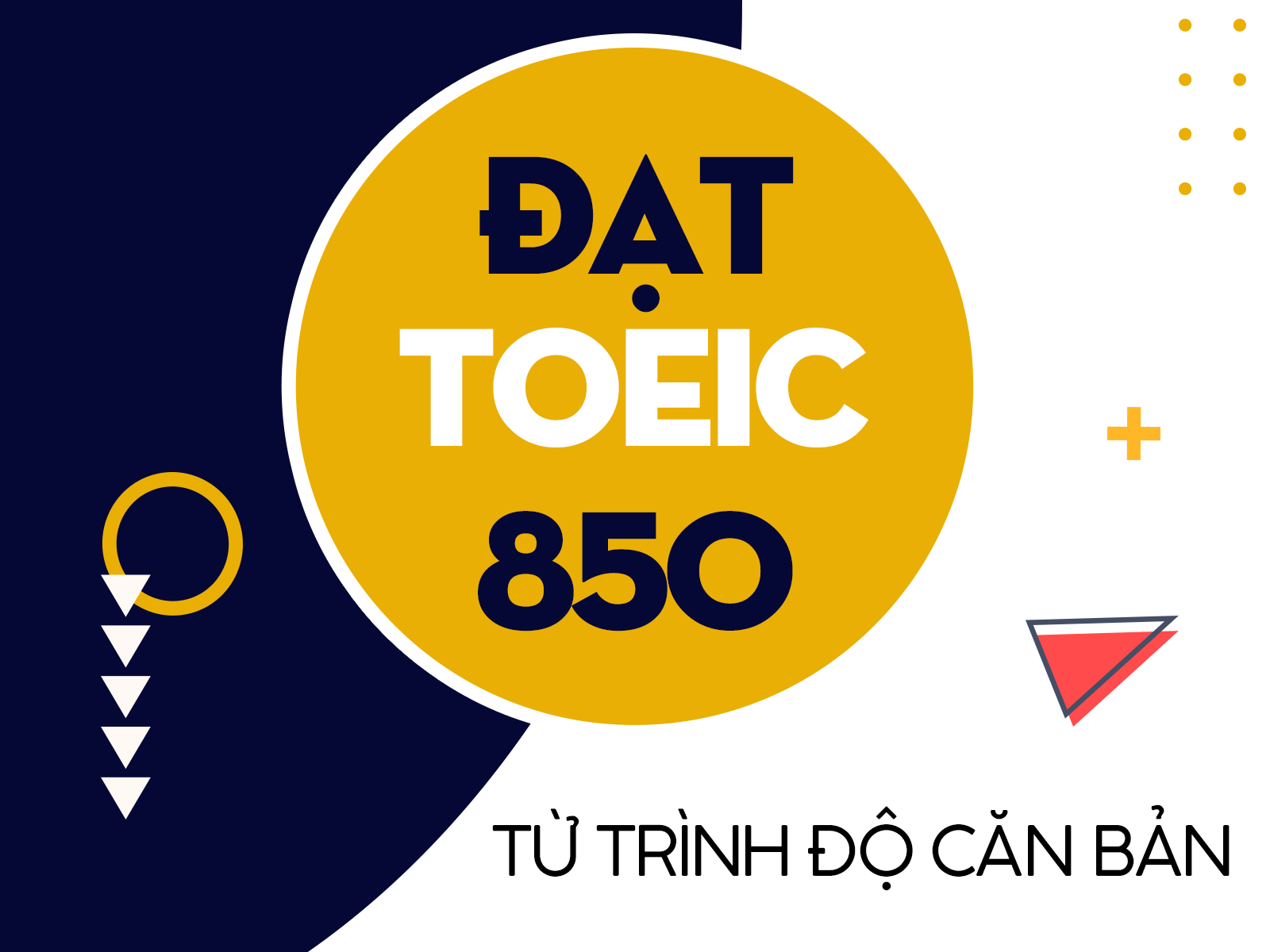 Học TOEIC cho người mới bắt đầu