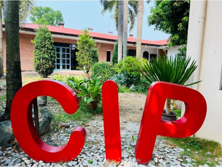 Trường anh ngữ CIP ra mắt khóa học Custom ESL chi phí thấp