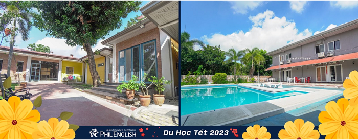 du-hoc-tet-2023-3