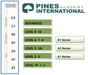 tin-tic-pines-1