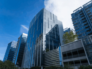 truong-anh-ngu-qq-beachfront-dd