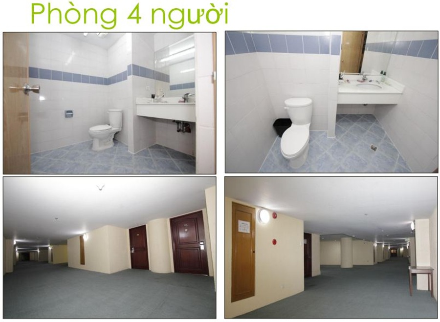 pines-nhung-dot-pha-moi-trong-nam-2016-5