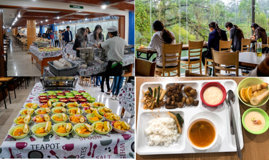 pv-quan-ly-vn-ve-pines-main-5