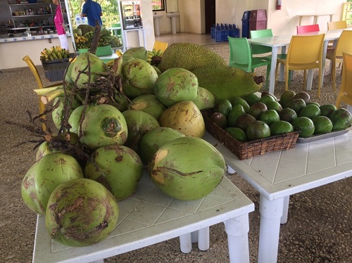 trai-cay-phuc-vu-cho-hoc-vien