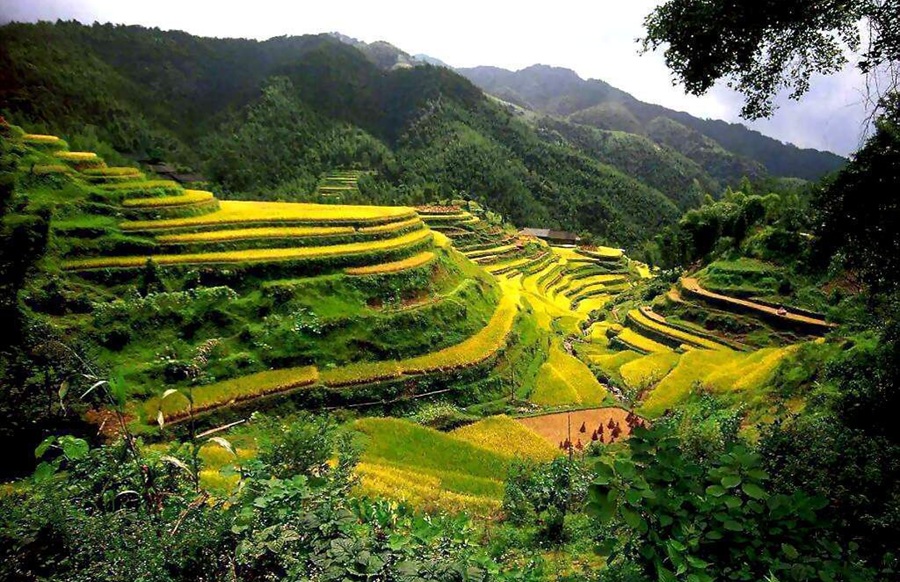 Baguio-Rice-Terraces-Philippines