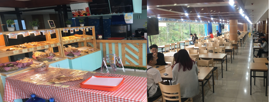 bao-cao-tham-quan-pines-main-5