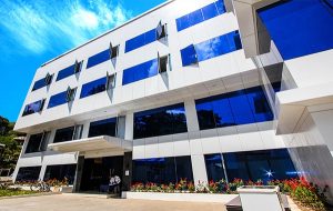 truong-anh-ngu-pines