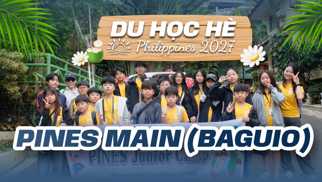 trai-he-PINES-MAIN-d