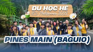 trai-he-PINES-MAIN-d